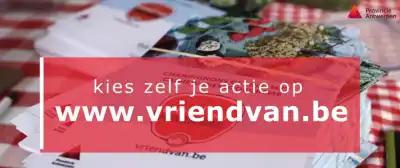 videoproductie online reportage Provincie Antwerpen